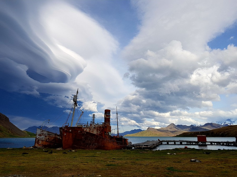 Godthul & Grytviken, South Georgia