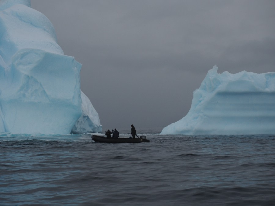 PLA29-18 Day 15 Cierva Cove P3024243 © Oceanwide Expeditions.JPG