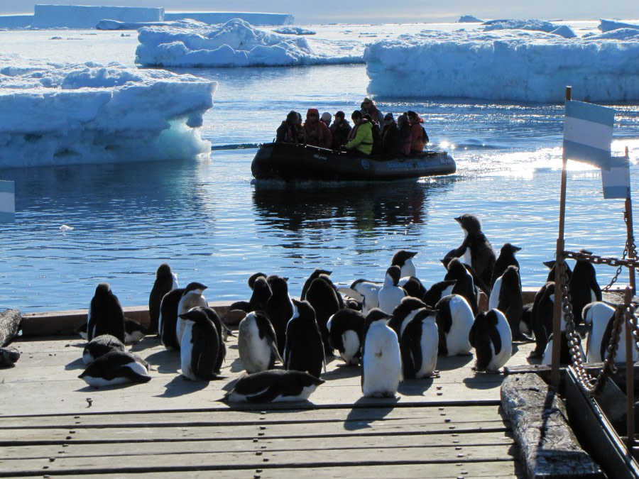 OTL29-18 Day 14 Esperanza zodiac 1 © Oceanwide Expeditions.JPG