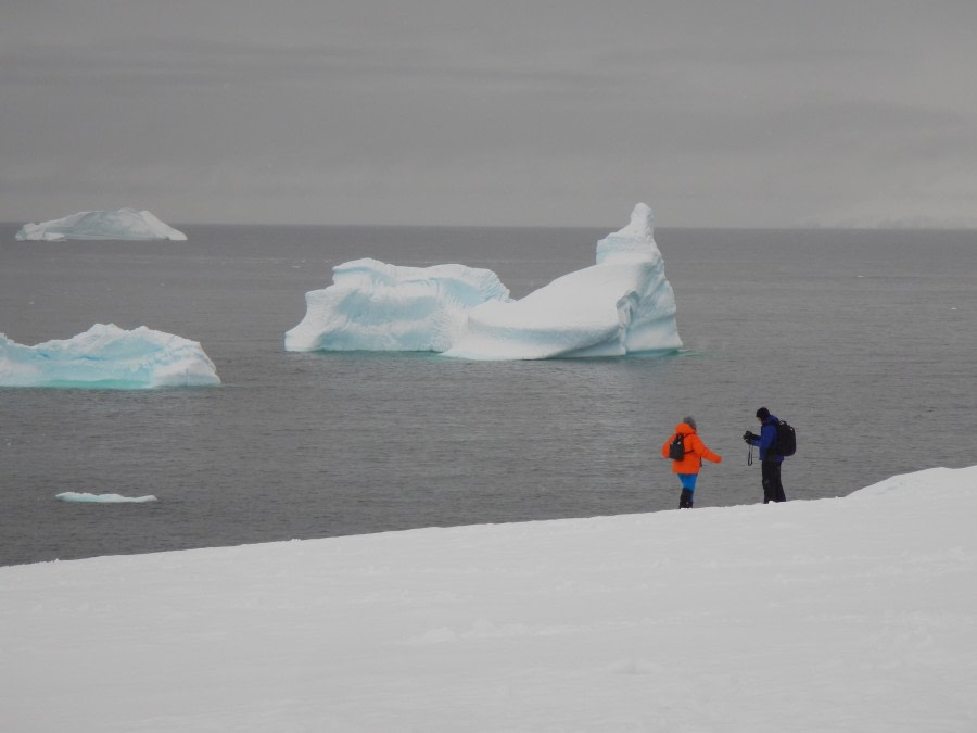 Cierva Cove and Portal Point, Antarctica