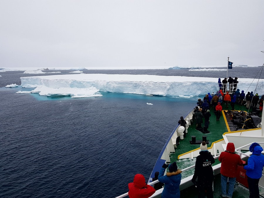 Antarctic Sound and Brown Bluff, Antarctica