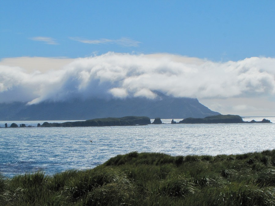 OTL29-18 Day 2 Prion Island vista 3 © Oceanwide Expeditions.JPG