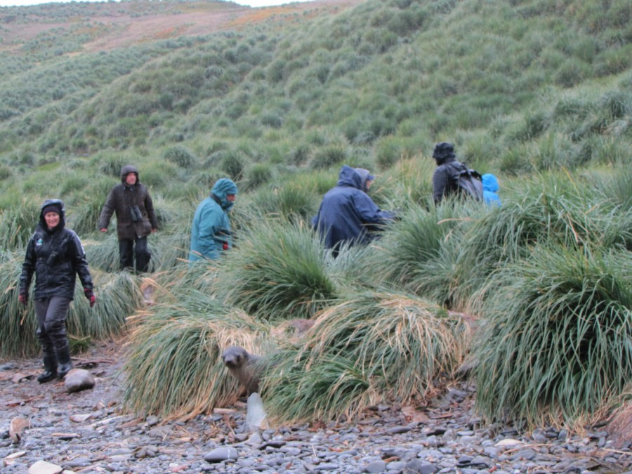 OTL29-18 Day 9 Godthul people 3 © Oceanwide Expeditions.JPG