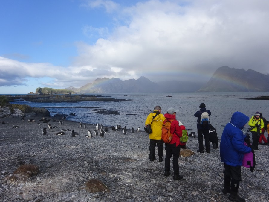 PLA29-18 Day 7 Prion Island DSC08672 © Oceanwide Expeditions.JPG