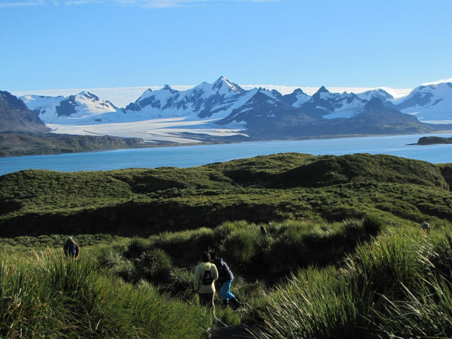 OTL29-18 Day 2 Prion Island Boardwalk 12 © Oceanwide Expeditions.JPG