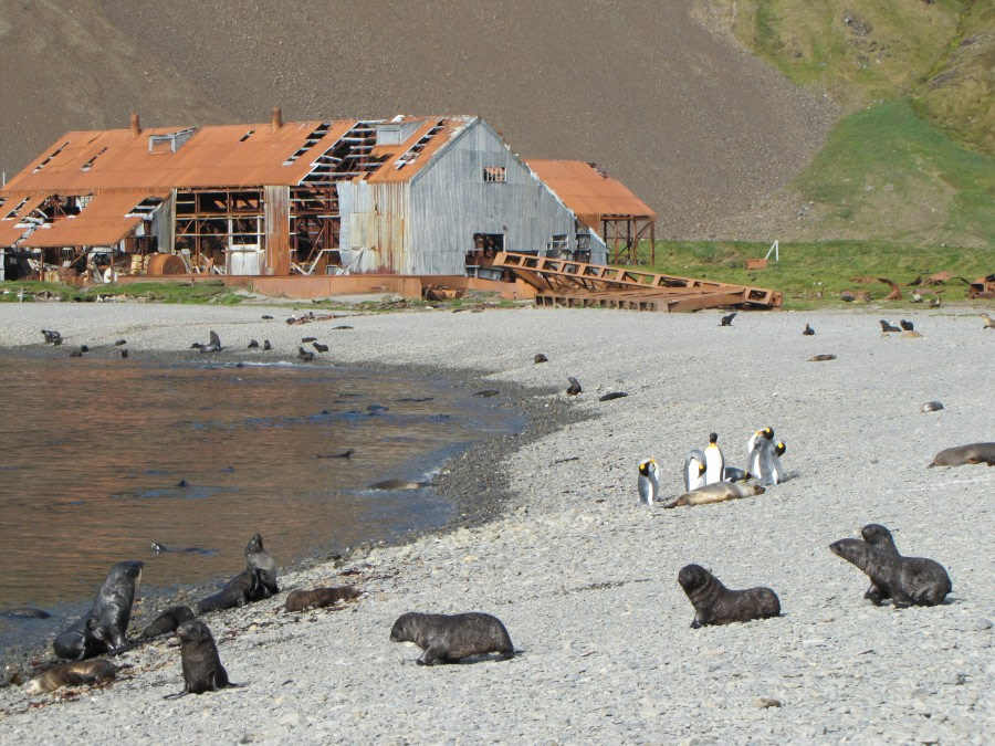 OTL29-18 Day 8 Stromness whaling station 5 © Oceanwide Expeditions.JPG