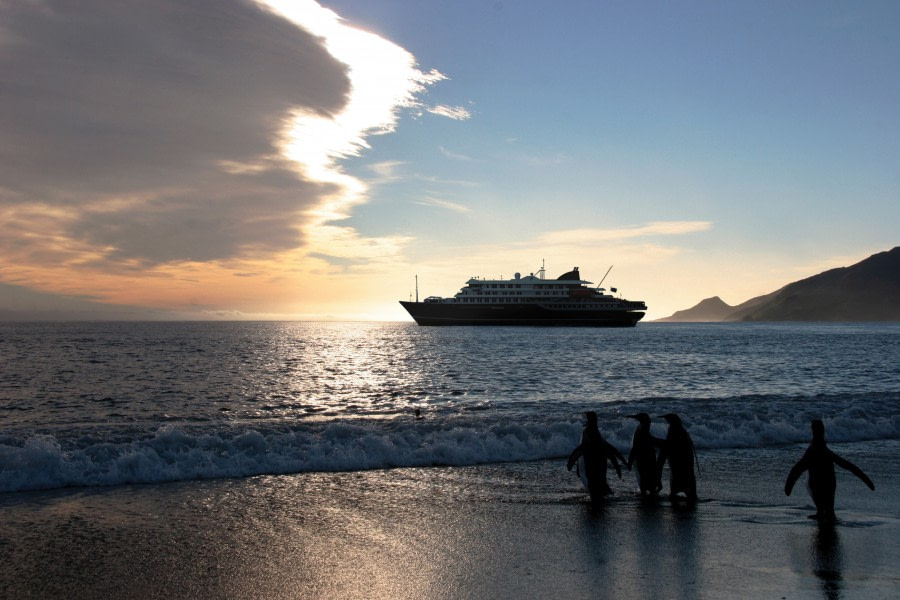 Hondius Falkland Islands landscape © Oceanwide Expeditions.jpg