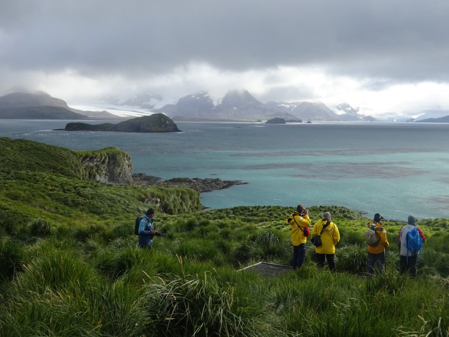 PLA29-18 Day 7 Prion Island DSC08709 © Oceanwide Expeditions.JPG