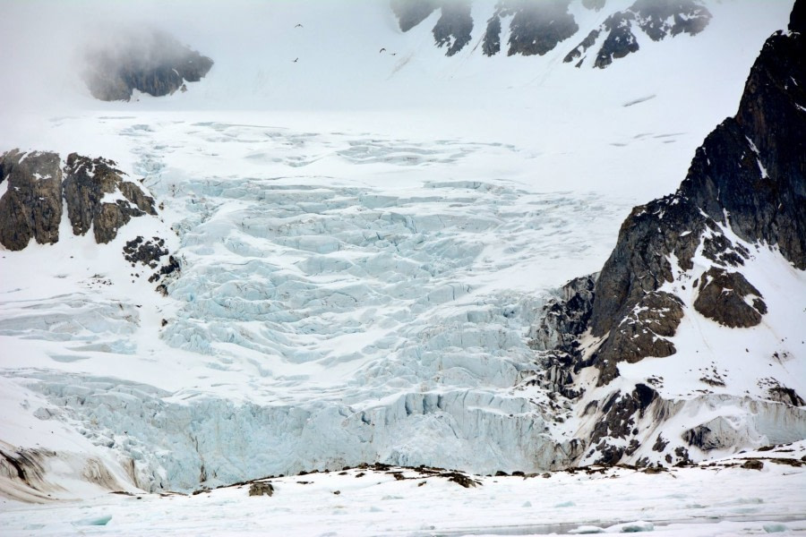 North Spitsbergen, Arctic Spring, June Glacier2 © Peter Tadin-Oceanwide Expeditions.jpg