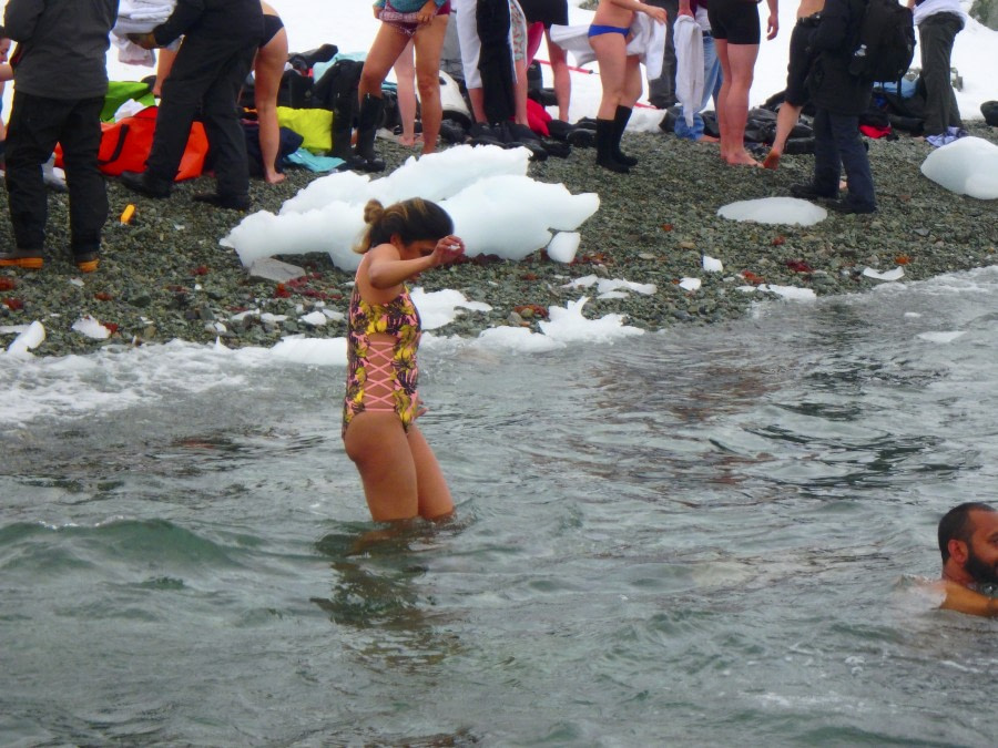 PLA31-18 Polar Plunge P3220048 © Oceanwide Expeditions.jpg © Oceanwide Expeditions.jpg