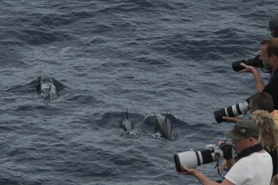 PLA35-18 Watching spinners, 27 April © Oceanwide Expeditions.JPG