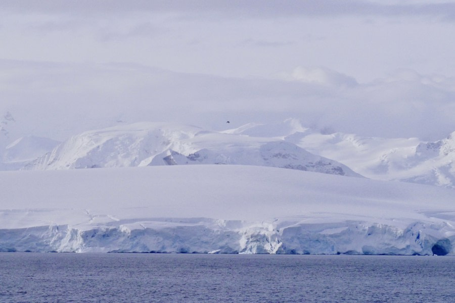 PLA31-18 Wilhelmina & Danco P1310335 © Oceanwide Expeditions.jpg © Oceanwide Expeditions.jpg