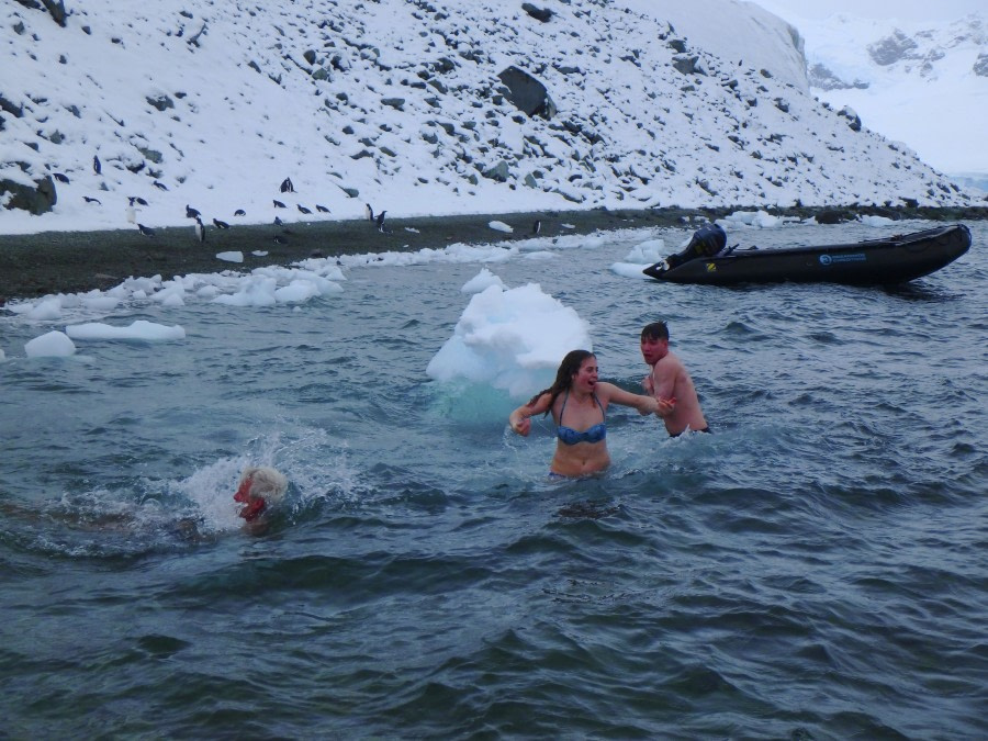 PLA31-18 Polar Plunge P3220018 © Oceanwide Expeditions.jpg © Oceanwide Expeditions.jpg