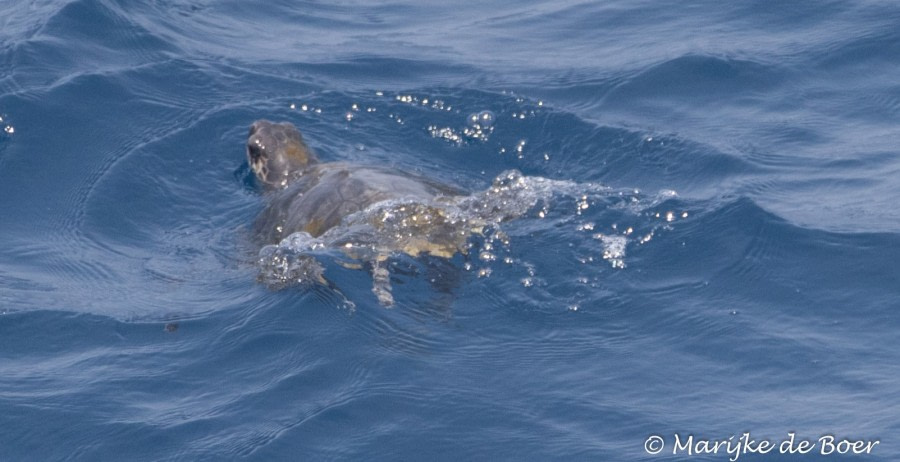 At Sea to Cape Verde