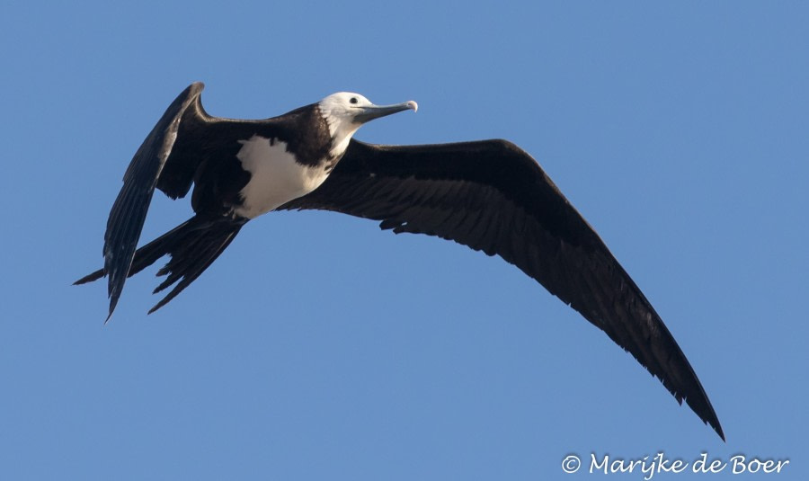 Ascension Island