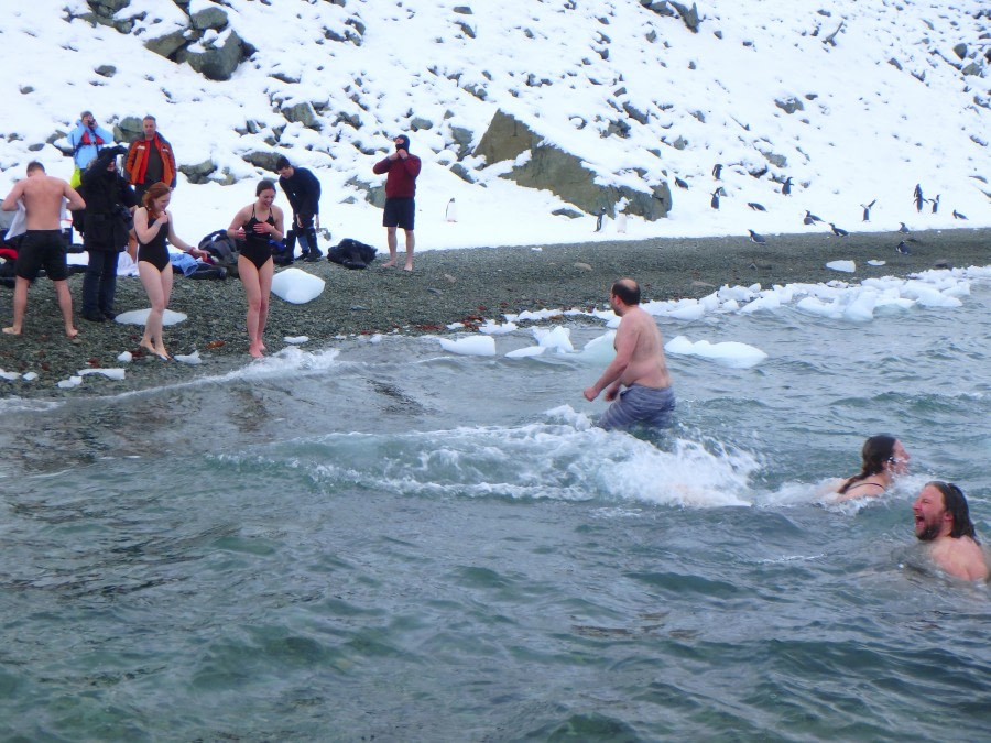 PLA31-18 Polar Plunge P3220027 © Oceanwide Expeditions.jpg © Oceanwide Expeditions.jpg