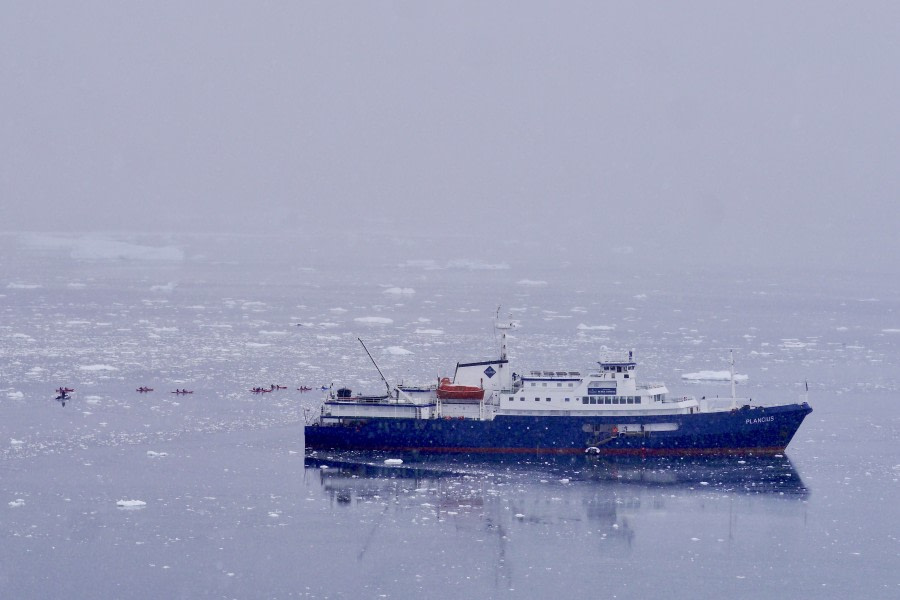 PLA30-18 Neko Harbour © Oceanwide Expeditions (1).jpg