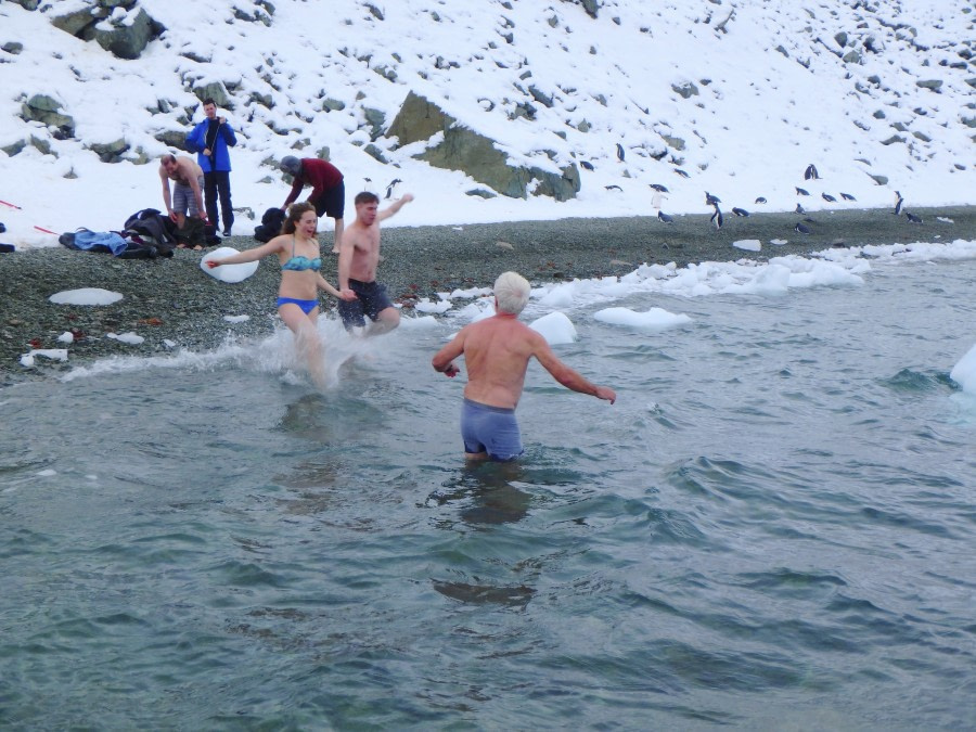 PLA31-18 Polar Plunge P3220015 © Oceanwide Expeditions.jpg © Oceanwide Expeditions.jpg