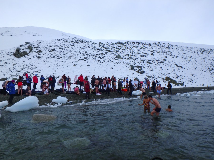 PLA31-18 Polar Plunge P3220050 © Oceanwide Expeditions.jpg © Oceanwide Expeditions.jpg