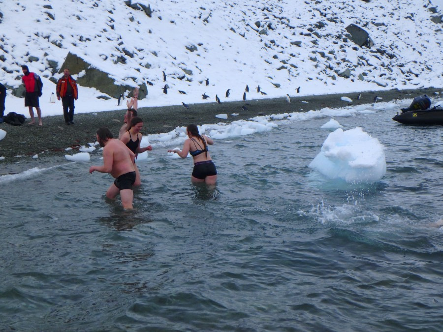 PLA31-18 Polar Plunge P3220030 © Oceanwide Expeditions.jpg © Oceanwide Expeditions.jpg