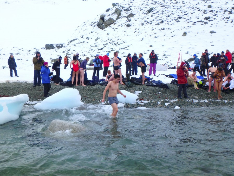 PLA31-18 Polar Plunge P3220045 © Oceanwide Expeditions.jpg © Oceanwide Expeditions.jpg