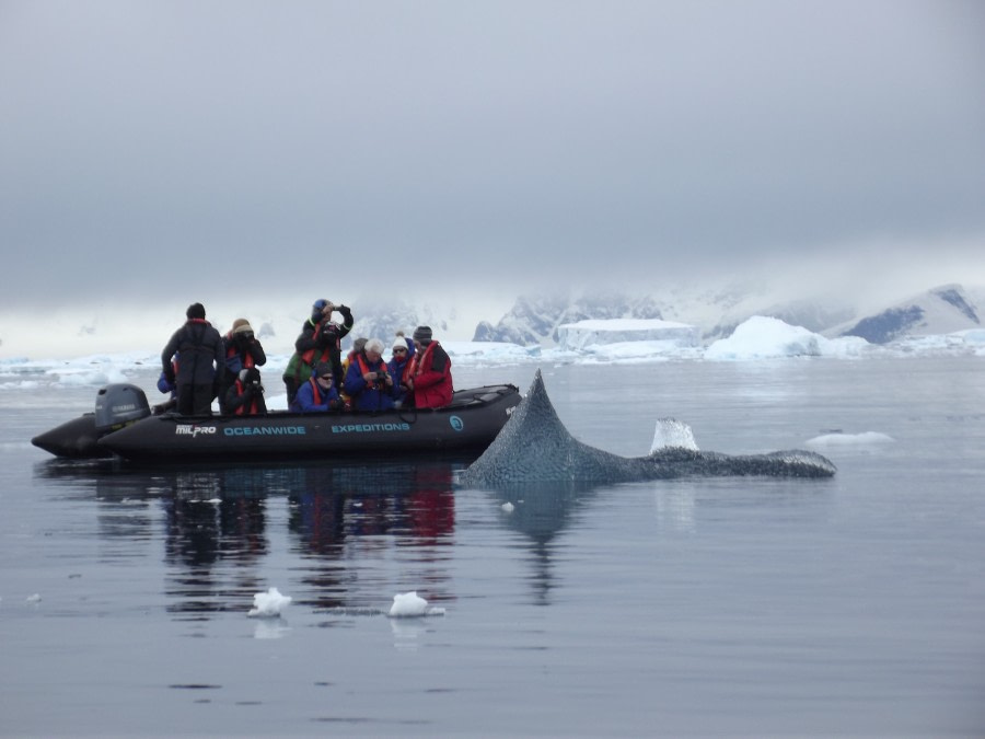 PLA30-18 DSCF7225 © Oceanwide Expeditions.JPG