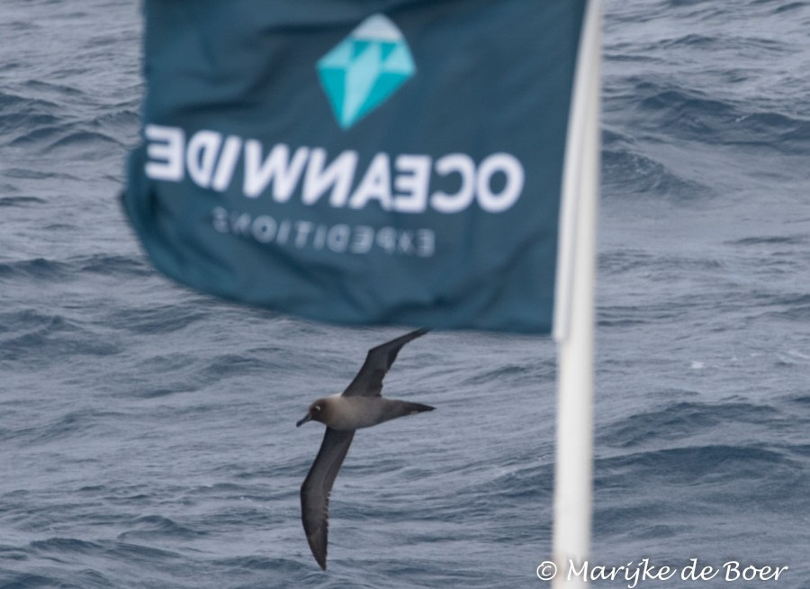 PLA35-18 Day 5_M de Boer_20180401-4L6A0643_edit © Oceanwide Expeditions.jpg