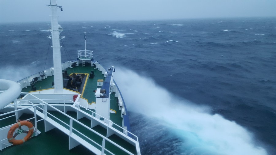 At Sea, Drake Passage Northward