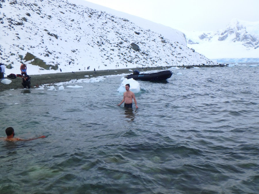 PLA31-18 Polar Plunge P3220046 © Oceanwide Expeditions.jpg © Oceanwide Expeditions.jpg