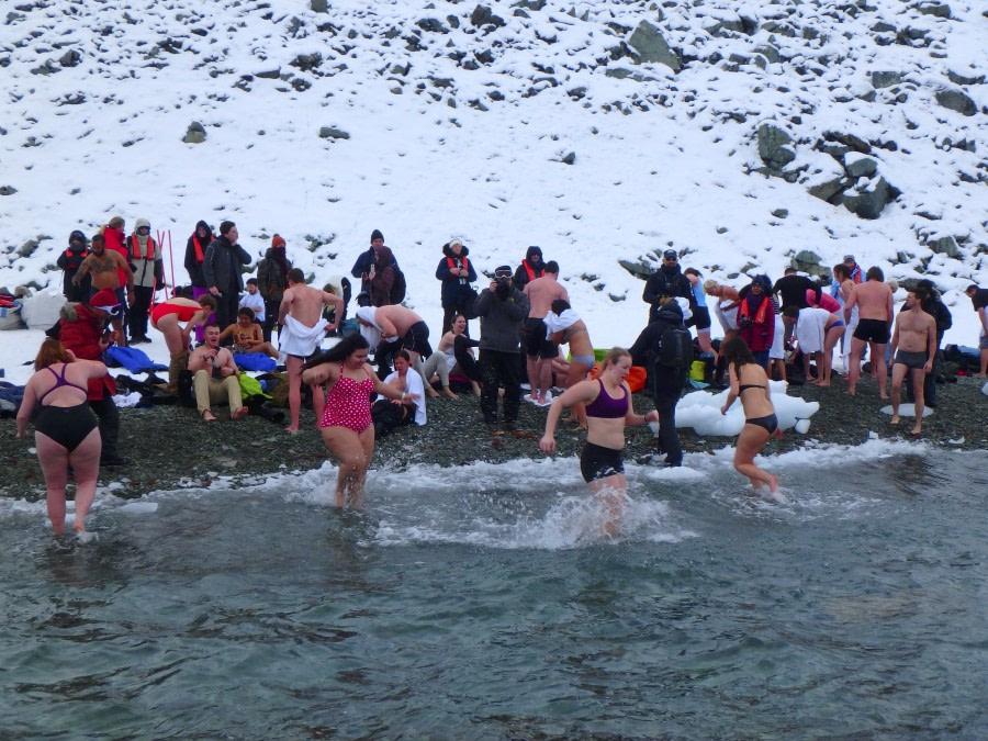 PLA31-18 Polar Plunge P3220042 © Oceanwide Expeditions.jpg © Oceanwide Expeditions.jpg