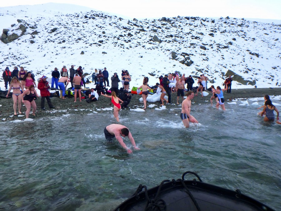 PLA31-18 Polar Plunge P3220039 © Oceanwide Expeditions.jpg © Oceanwide Expeditions.jpg