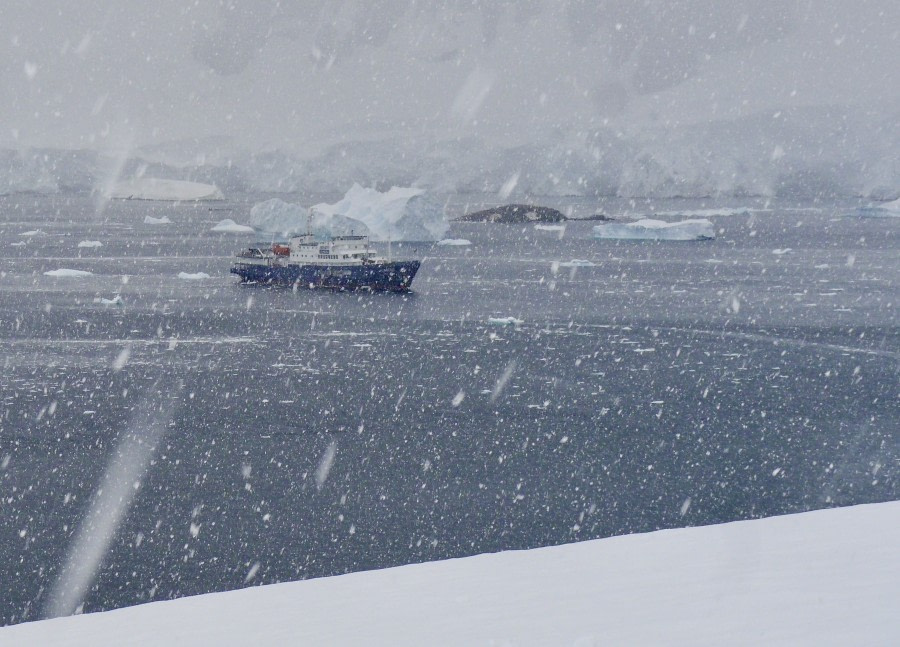 PLA30-18 Neko Harbour © Oceanwide Expeditions.jpg