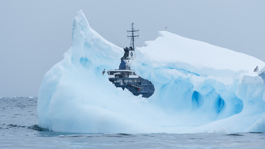 OTL32-18 20180317_SandraPetrowitz_Ortelius_Iceberg © Oceanwide Expeditions.jpg