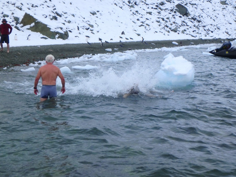 PLA31-18 Polar Plunge P3220016 © Oceanwide Expeditions.jpg © Oceanwide Expeditions.jpg