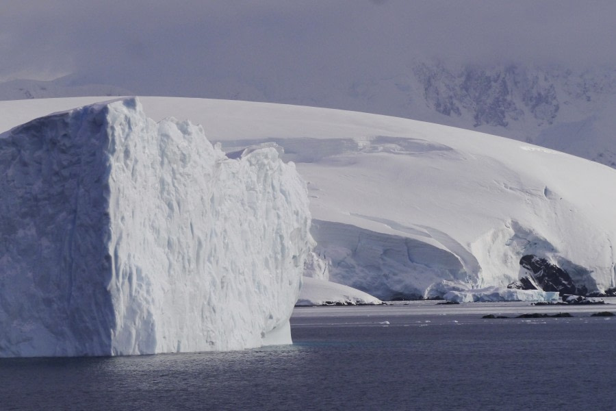 PLA31-18 Wilhelmina & Danco P1310359 © Oceanwide Expeditions.jpg © Oceanwide Expeditions.jpg