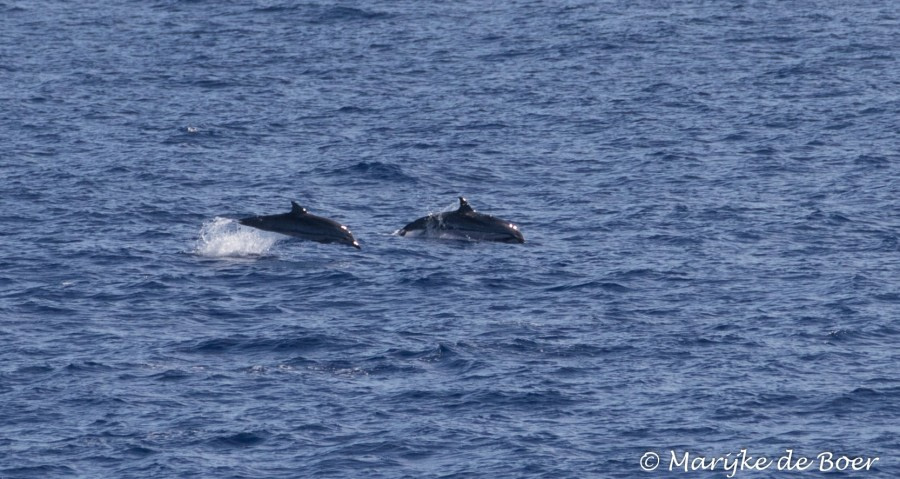 At Sea to Ascension Island