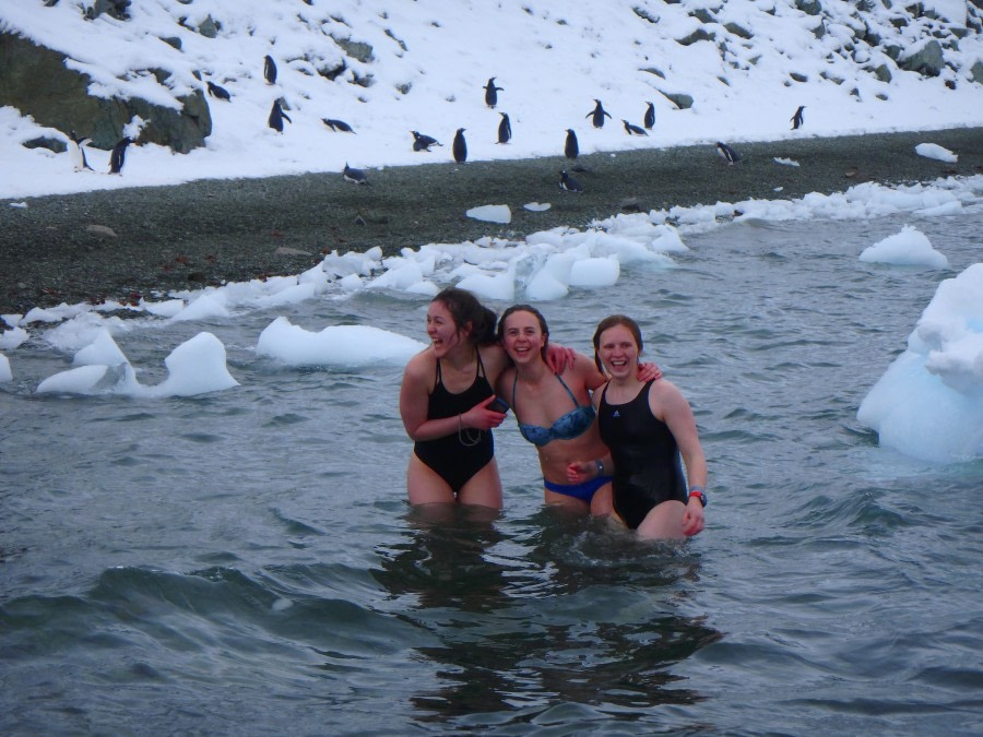 PLA31-18 Polar Plunge P3220032 © Oceanwide Expeditions.jpg © Oceanwide Expeditions.jpg