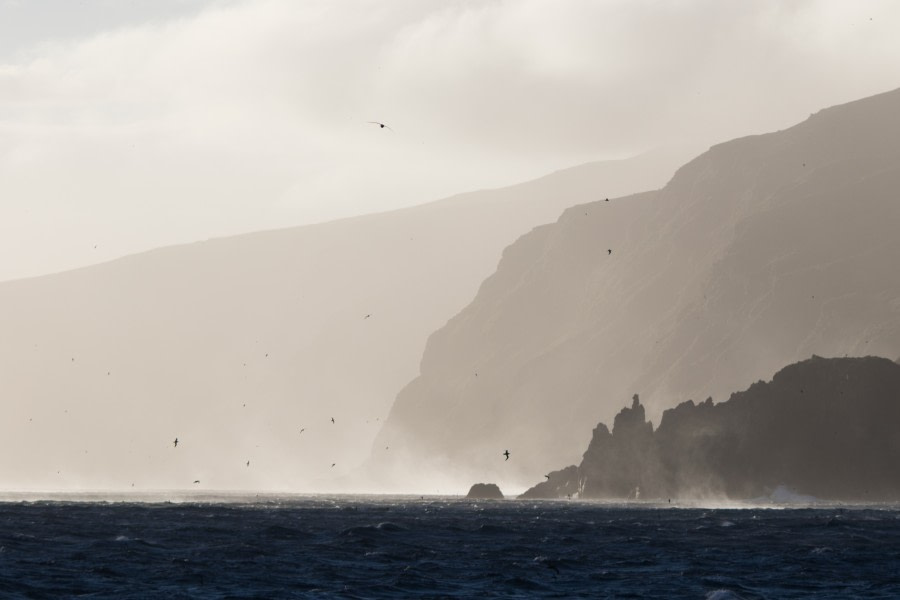 Arrival to Gough Island