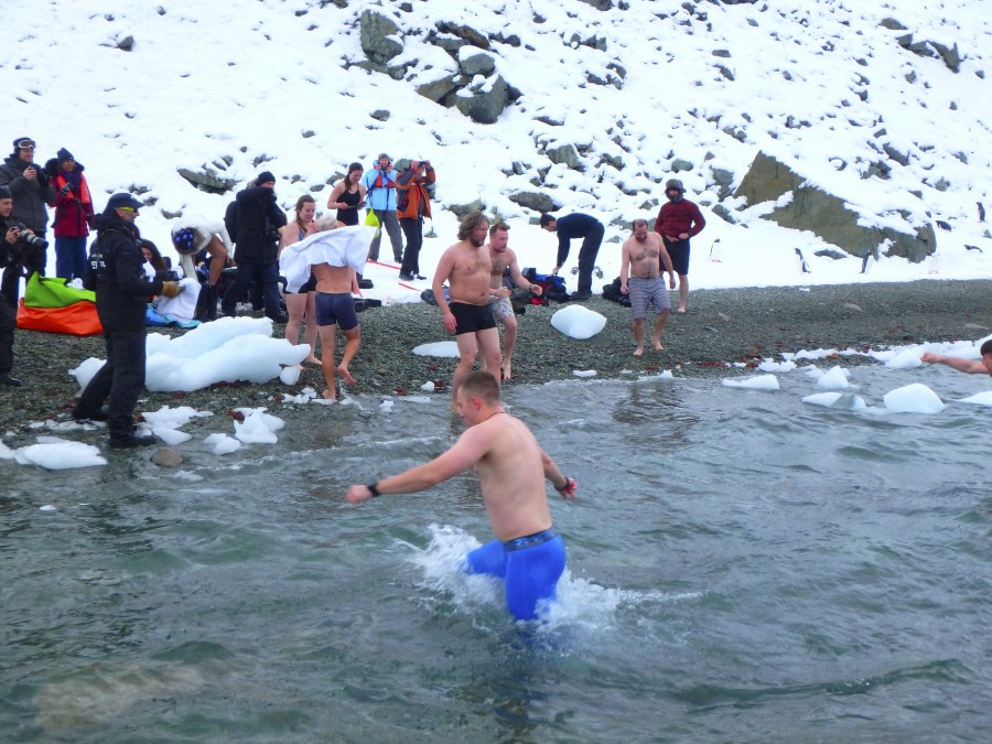 PLA31-18 Polar Plunge P3220022 © Oceanwide Expeditions.jpg © Oceanwide Expeditions.jpg