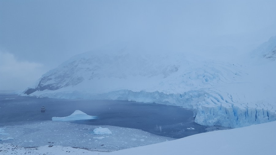 PLA31-18 Neko & Skontorp Cove 20180323_102201 © Oceanwide Expeditions.jpg