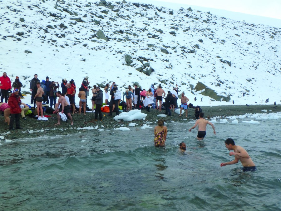 PLA31-18 Polar Plunge P3220049 © Oceanwide Expeditions.jpg © Oceanwide Expeditions.jpg