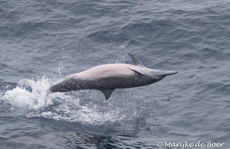 At Sea to Cape Verde