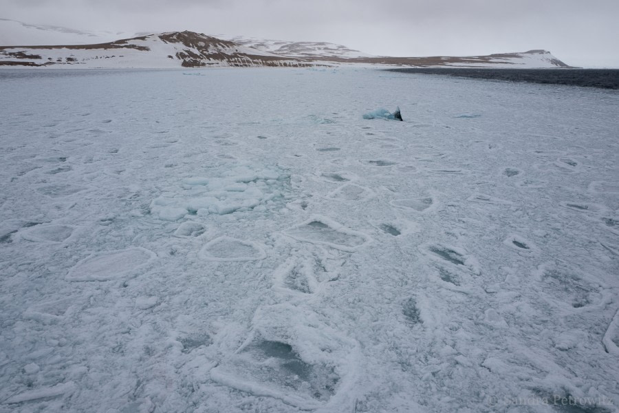 OTL04-18 20180607_Wahlenbergfjorden_FastIce_SandraPetrowitz-Oceanwide Expeditions.jpg