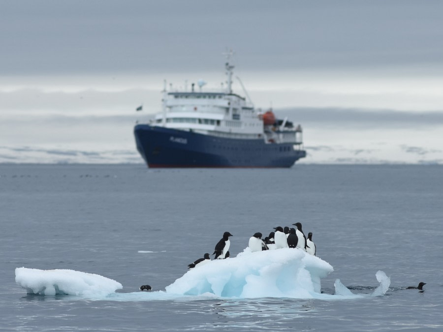 PLA07-18, DAY 4 359_7810-Oceanwide Expeditions.jpg