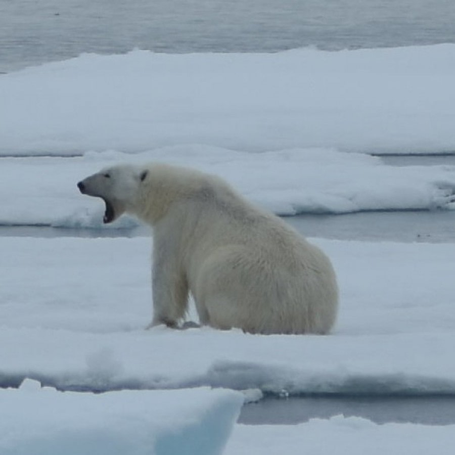 PLA07-18, DAY 3 359_6887-Oceanwide Expeditions.jpg