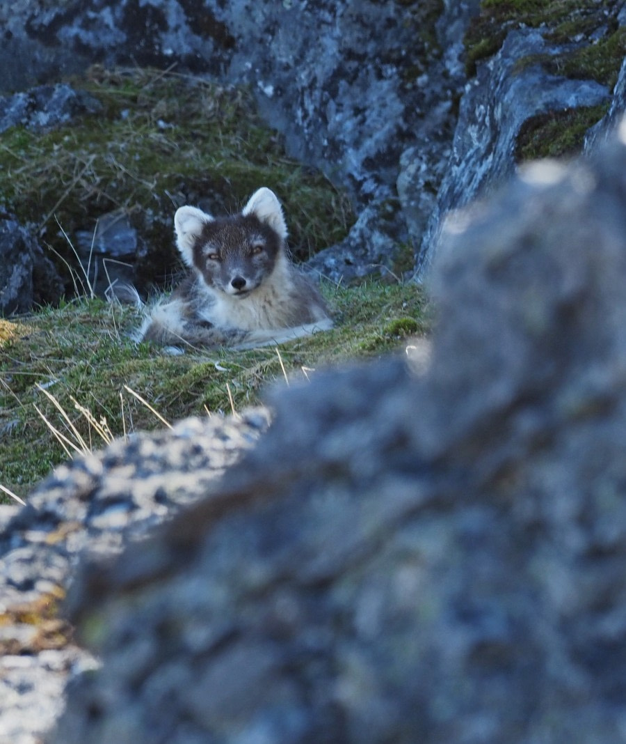 Longyearbyen