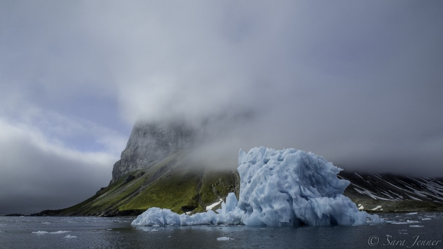 OTL11-18, DAY 8 cliff and iceberg-Oceanwide Expeditions.jpg