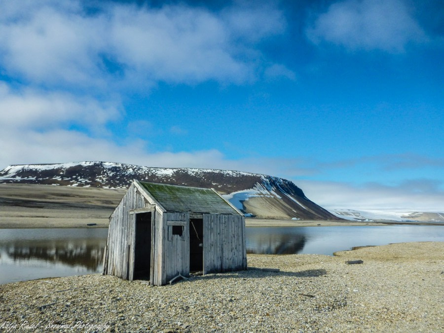 Palanderbukta und Alkefjellet