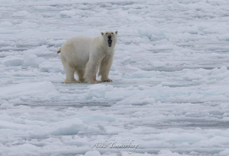 PLA09-18, Day 5 4S6A1909Anke_Timmerberg (2)-Oceanwide Expeditions.jpg