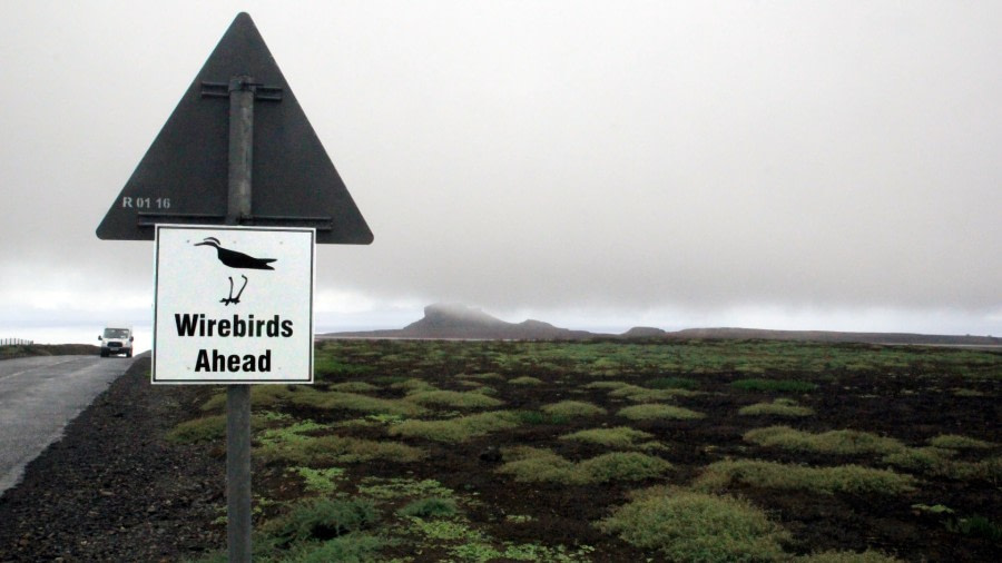 PLA35-18 WireBird roadsign